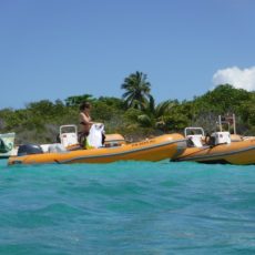 Where to go for Snorkeling Tours in Puerto Rico (by boat)