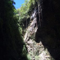 2 Caves to Explore in Puerto Rico (Things to do in Puerto Rico)