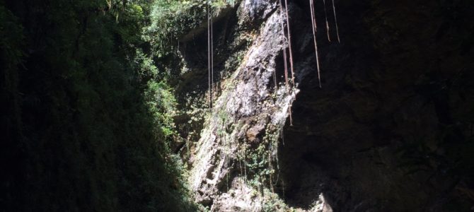 2 Caves to Explore in Puerto Rico (Things to do in Puerto Rico)