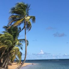 Postcard from Puerto Rico