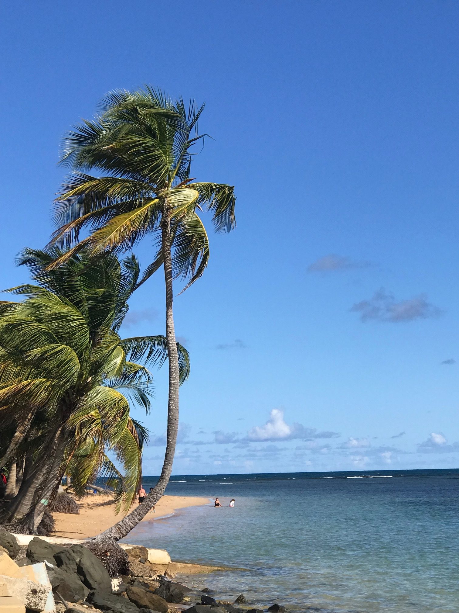Postcard from Puerto Rico