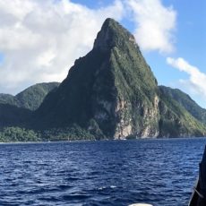 Connecting with Nature on the Island of St. Lucia Connecting with Nature on the Island of St. Lucia