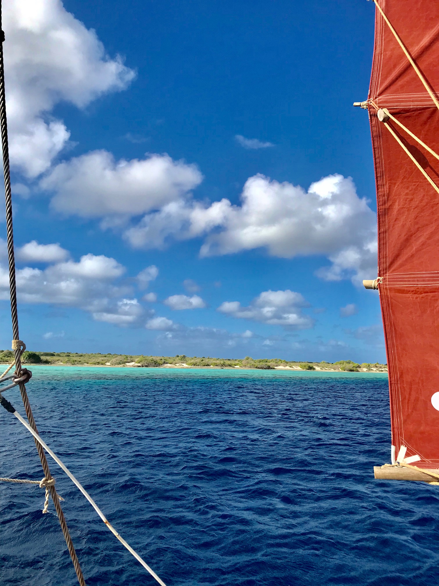 Postcard from Bonaire