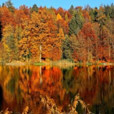 Postcard from Putnam and Dutchess Counties, Autumn Day-Trips