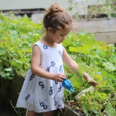 Fun Indoor and Outdoor Gardening Projects with Kids