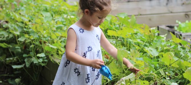 Fun Indoor and Outdoor Gardening Projects with Kids