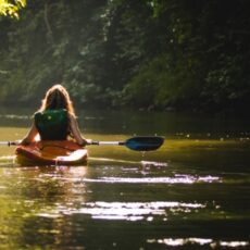 New York State: 7 Ways to Connect with Nature While Social Distancing