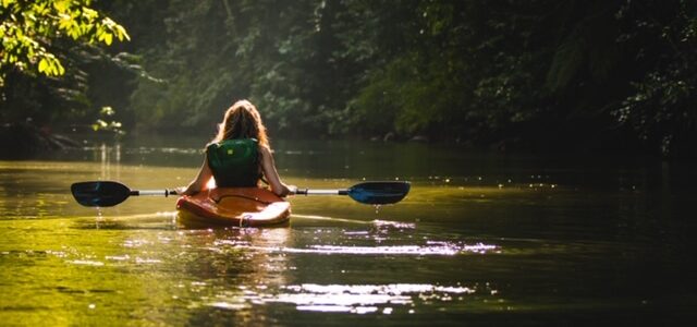 New York State: 7 Ways to Connect with Nature While Social Distancing